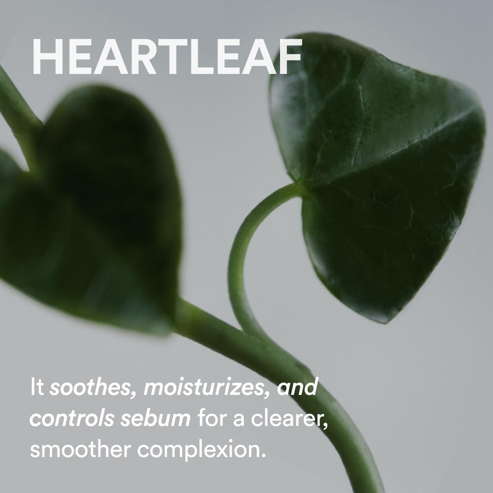 Abib Heartleaf Crème Calming Tube 75mL English gallery product information 3
