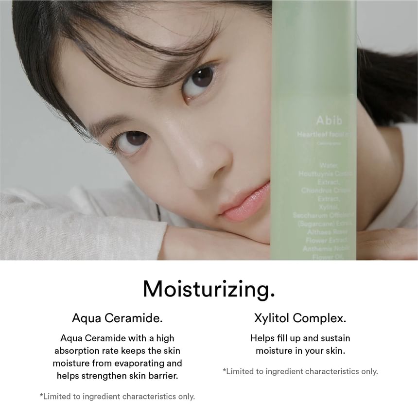 Abib Heartleaf Facial Mist English product information