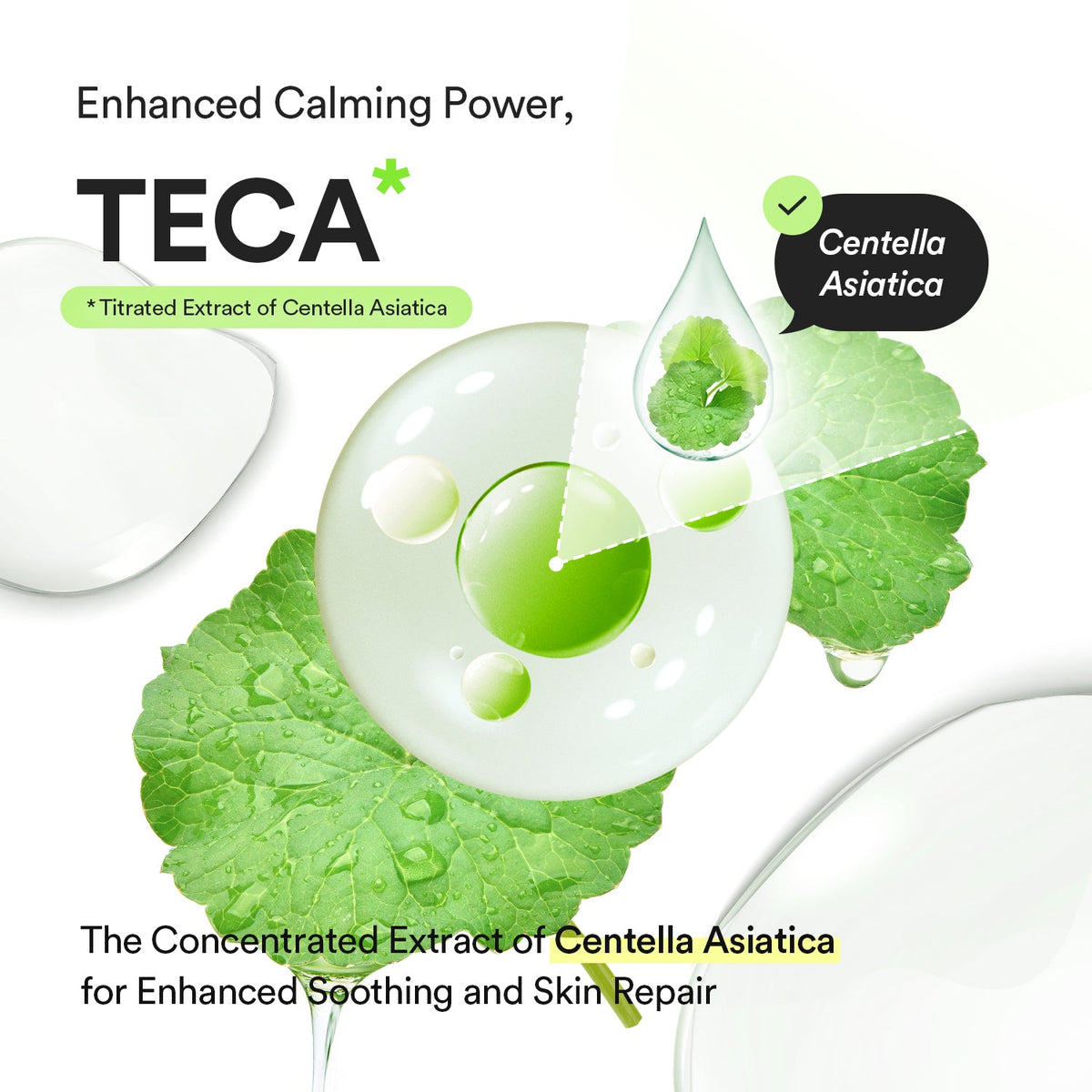 Abib teca capsule calming drop official product information 06