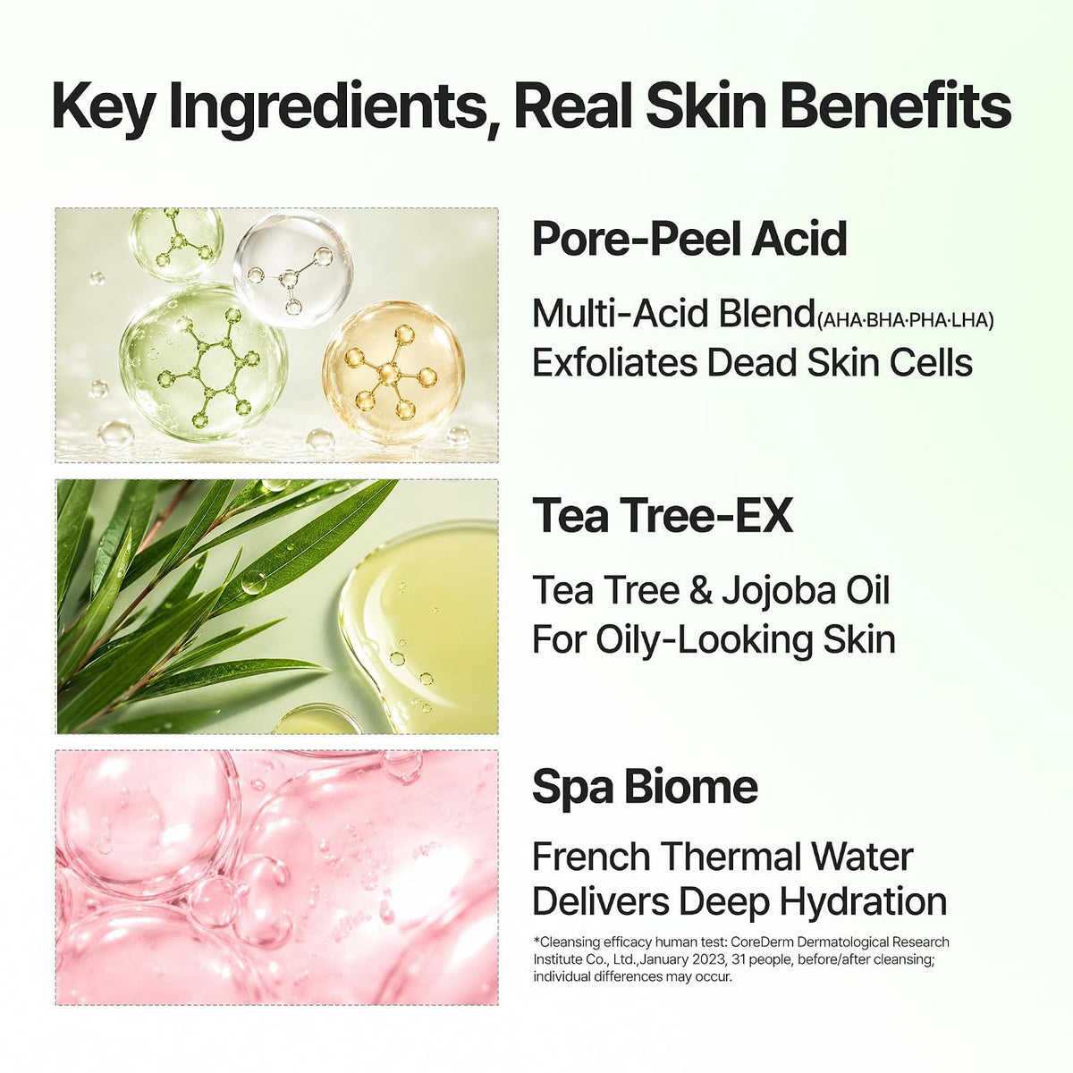 BANILA CO Clean It Zero Tea Tree-EX Pore Clarifying key ingredients and their roles