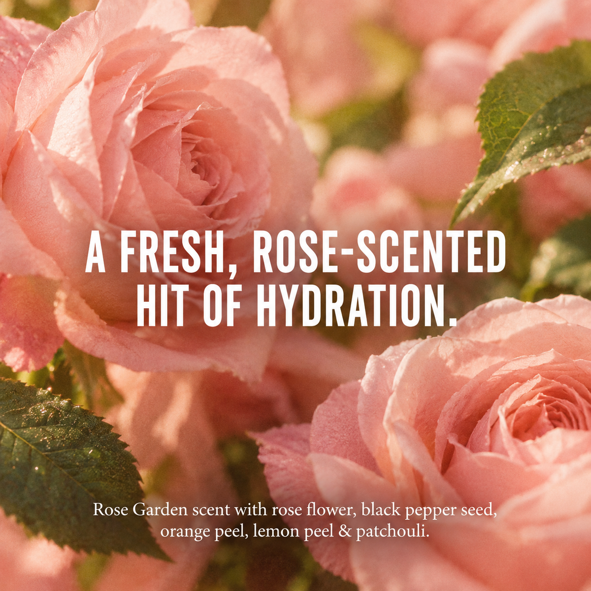 California Naturals Rose Garden scent infographic