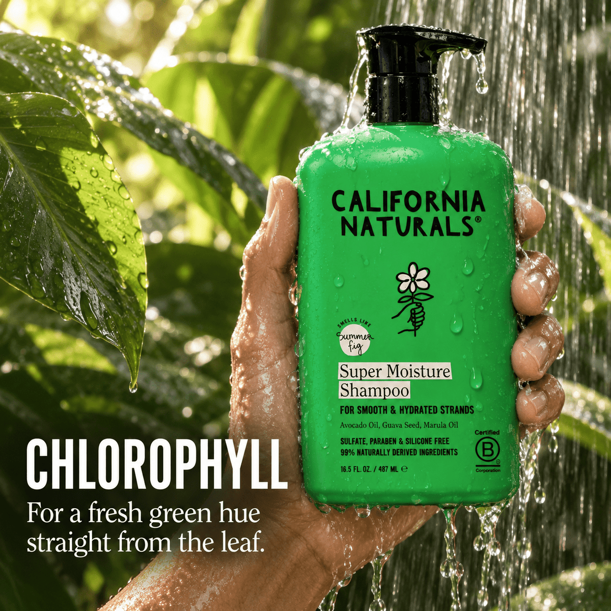 California Naturals Super Moisture Shampoo chlorophyll infographic