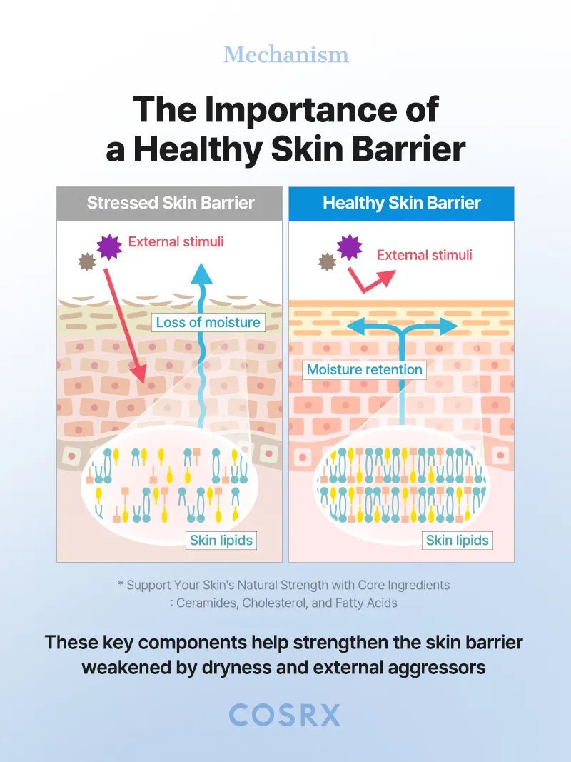 The Ceramide Skin Barrier Moisturizing Mist official English detail panel 10