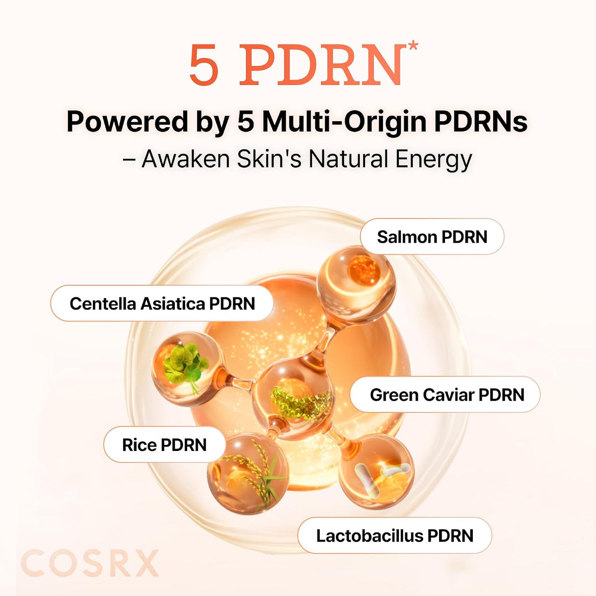 COSRX 5 PDRN Collagen Intense Vitalizing Serum 100mL - English Amazon gallery panel 04