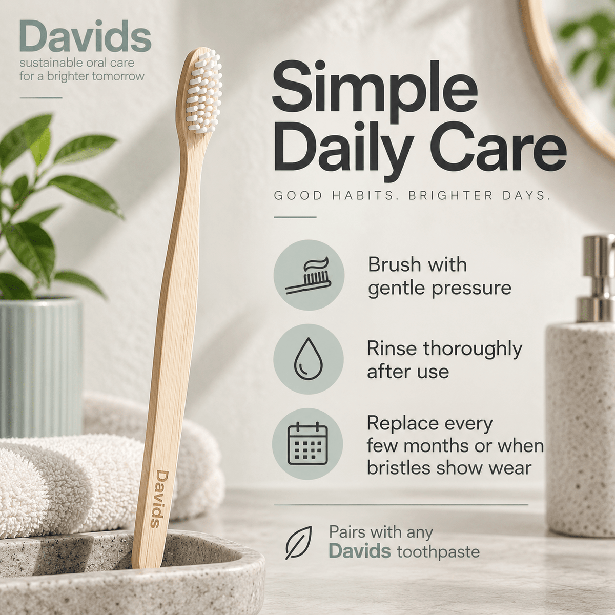 Davids bamboo toothbrush daily care and replacement infographic