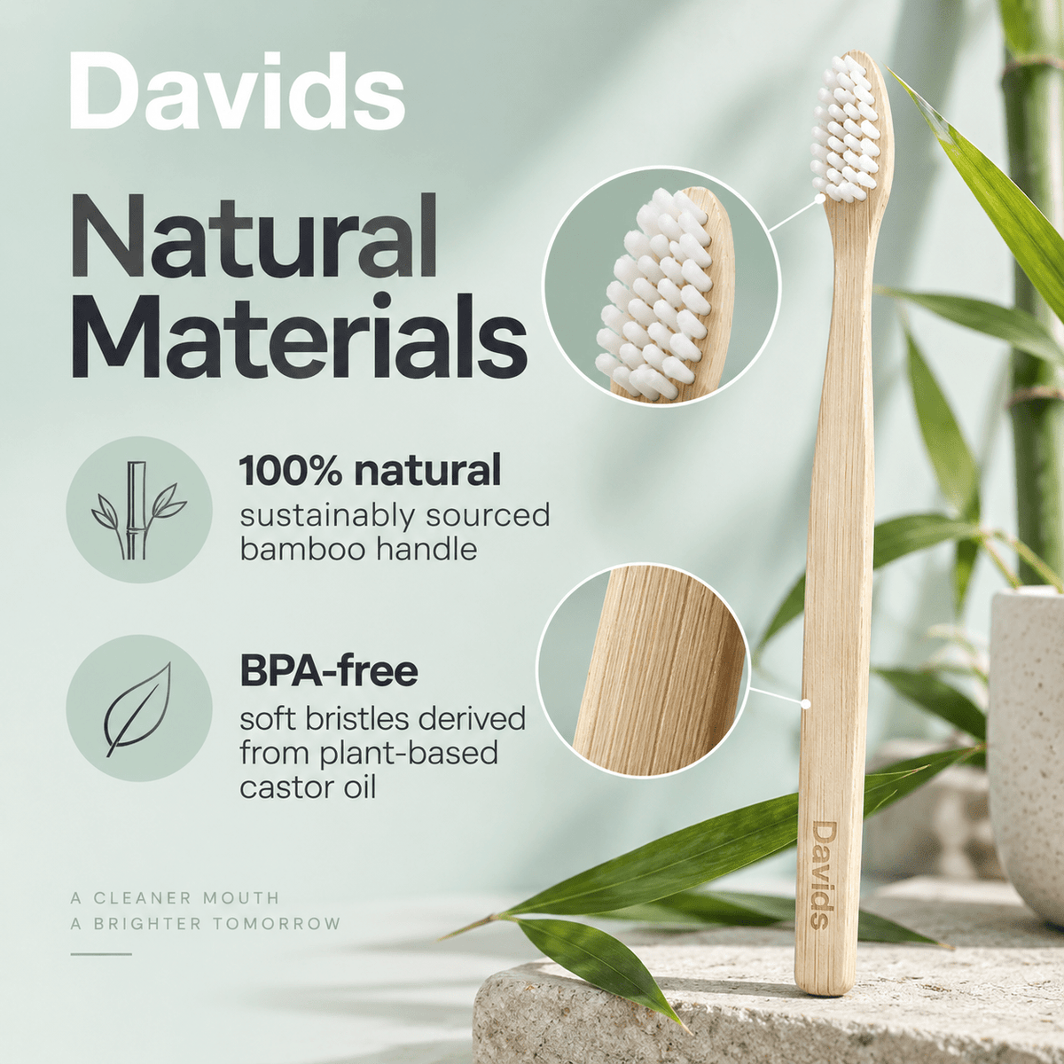 Davids bamboo toothbrush natural materials infographic