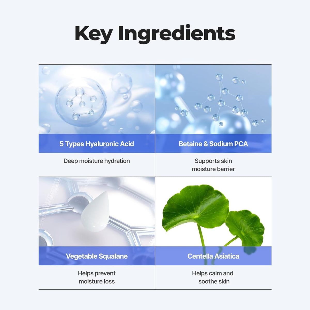 Isntree Hyaluronic Acid Aqua Gel Cream 100mL: key ingredients