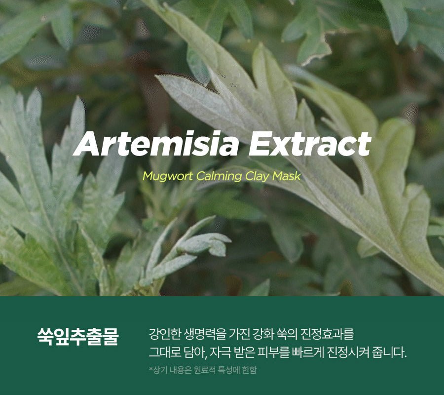 Isntree Mugwort Calming Clay Mask 200mL β Mugwort ingredient source (Korean brand information)