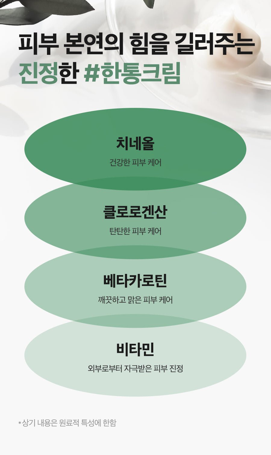 Isntree Mugwort Calming Cream 50mL β Mugwort ingredient properties and qualifiers (Korean brand information)