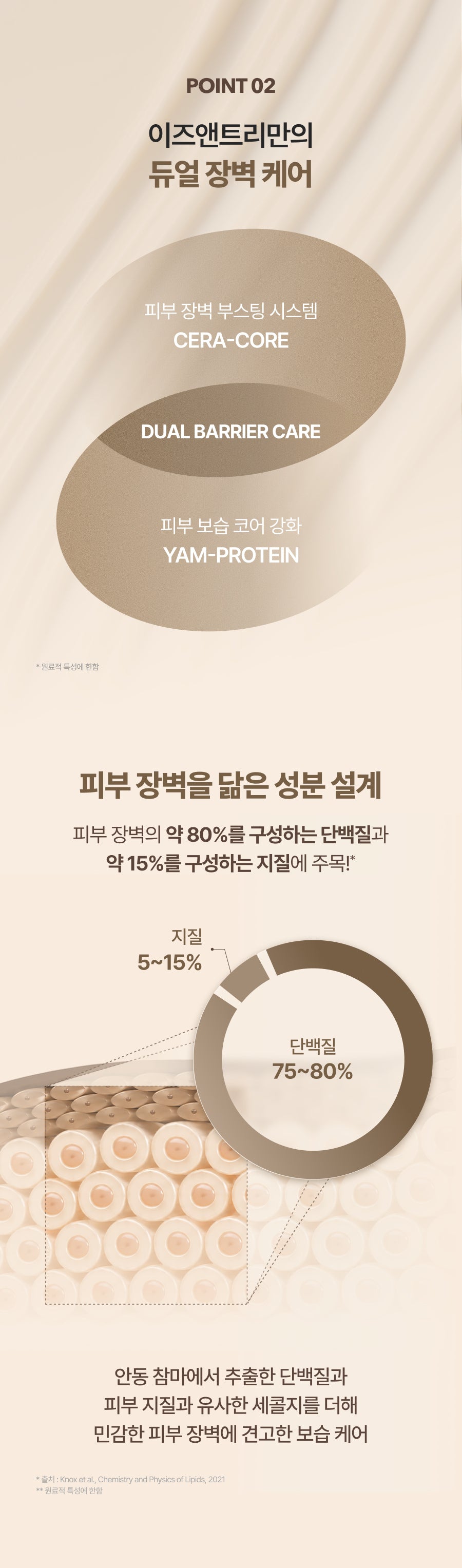 Isntree Yam Root Vegan Barrier Cream 80mL β Dual protein and lipid barrier diagram (Korean brand information)