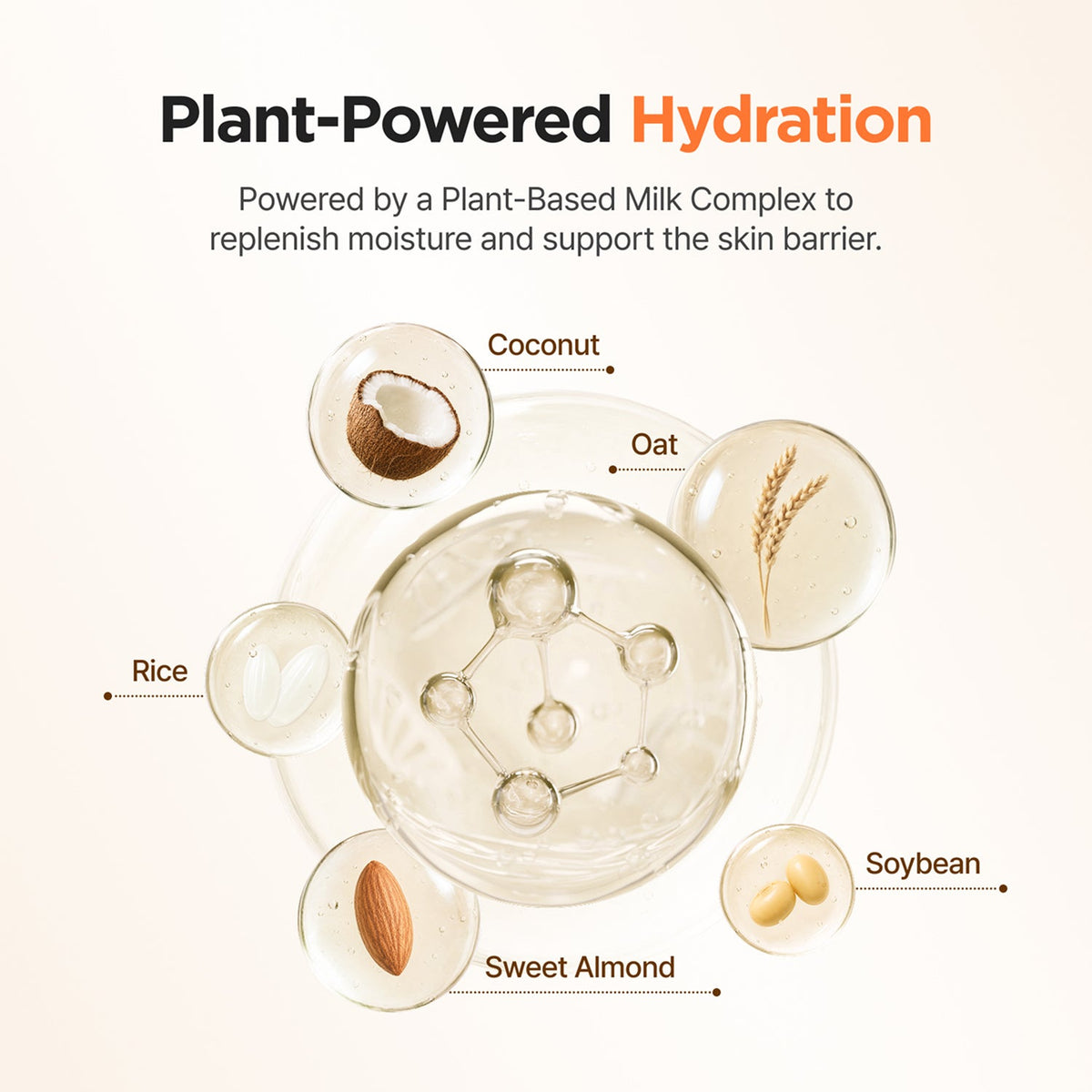 Isntree Yam Root Vegan Milk Cleanser 220ml: Five plant milk ingredient diagram