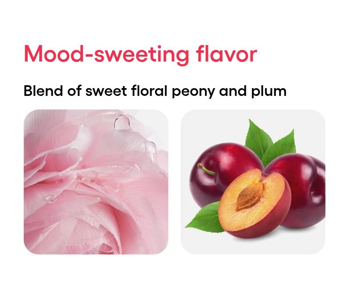 LANEIGE Bouncy and Firm Lip Treatment peony and plum flavor