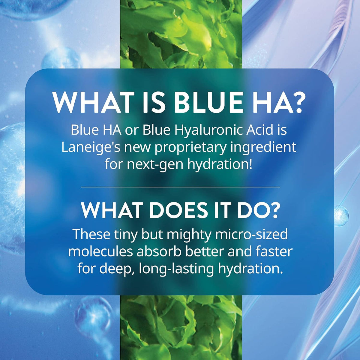 LANEIGE Water Bank Blue Hyaluronic Serum product information 4