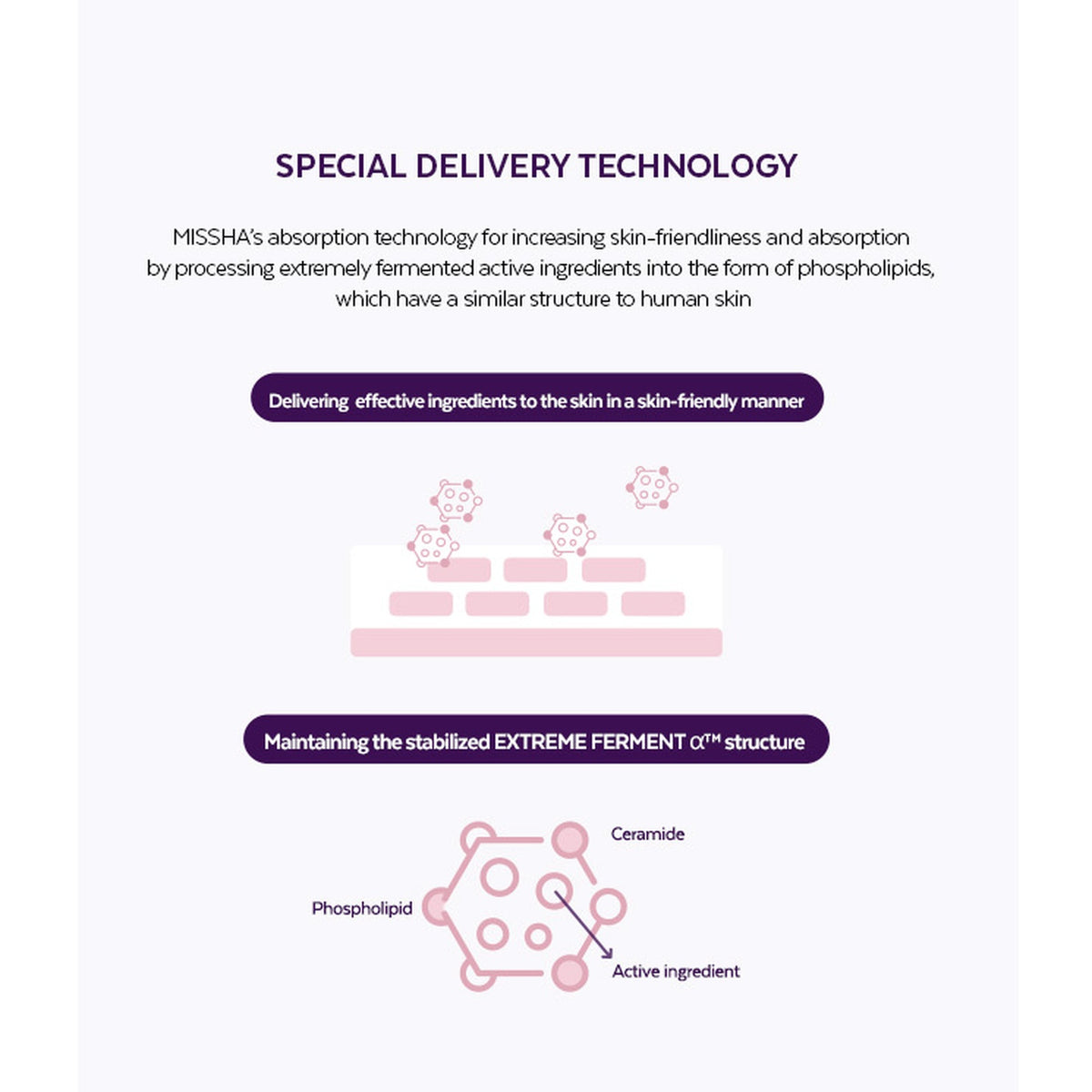 MISSHA Time Revolution Night Repair Ampoule 5X: Delivery technology and phospholipid illustration
