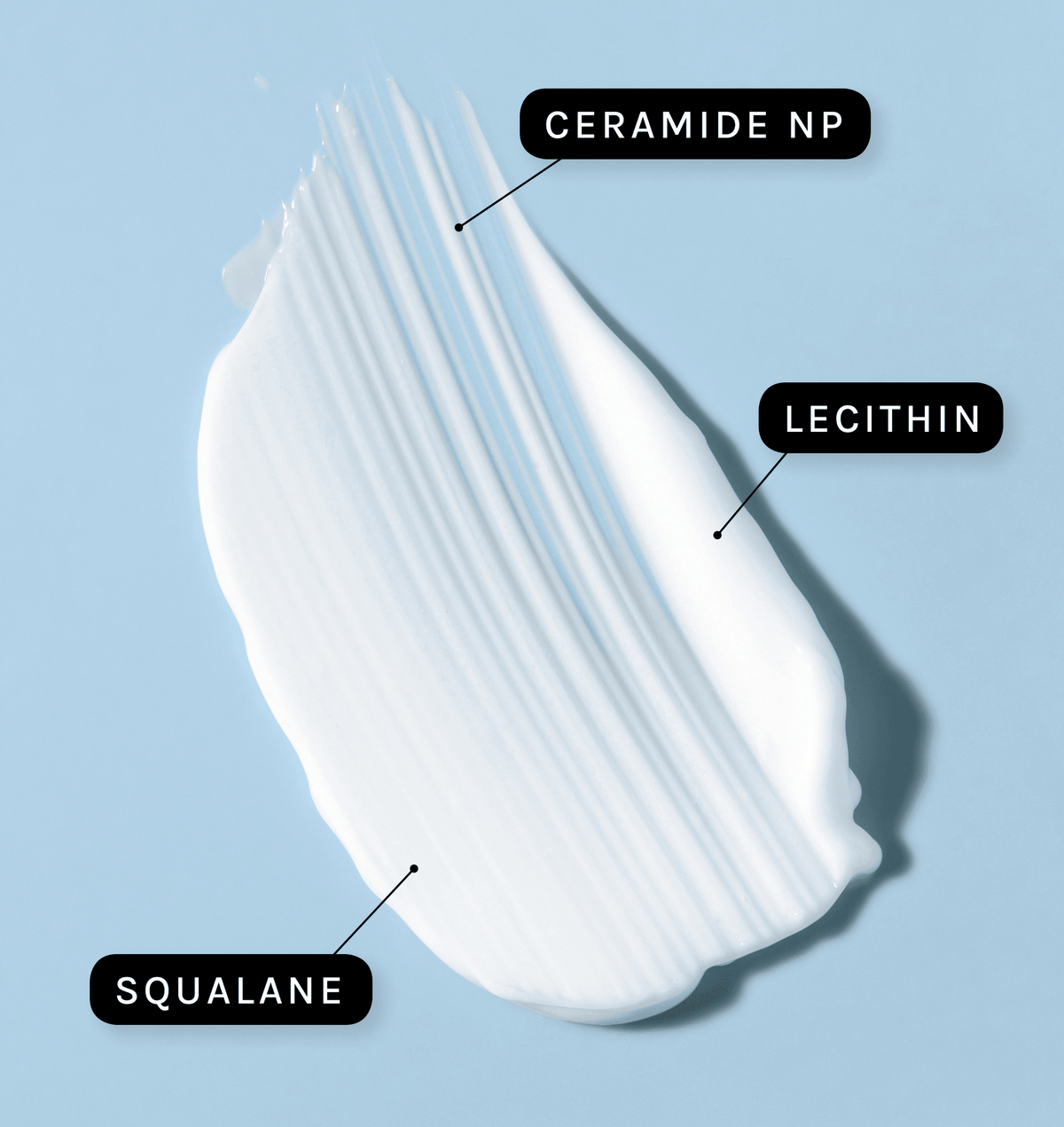PHYSIOGEL Intensive Cream key ingredients: ceramide NP, lecithin and squalane