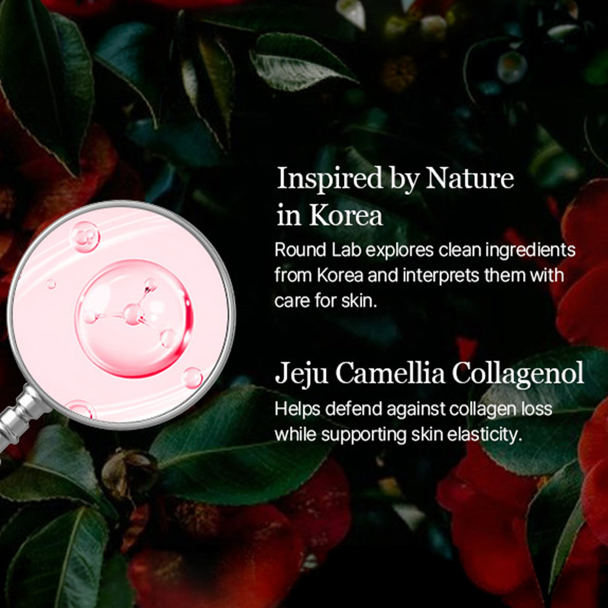 Camellia Deep Collagen Milky PDRN Toner 150ml official product infographic 5