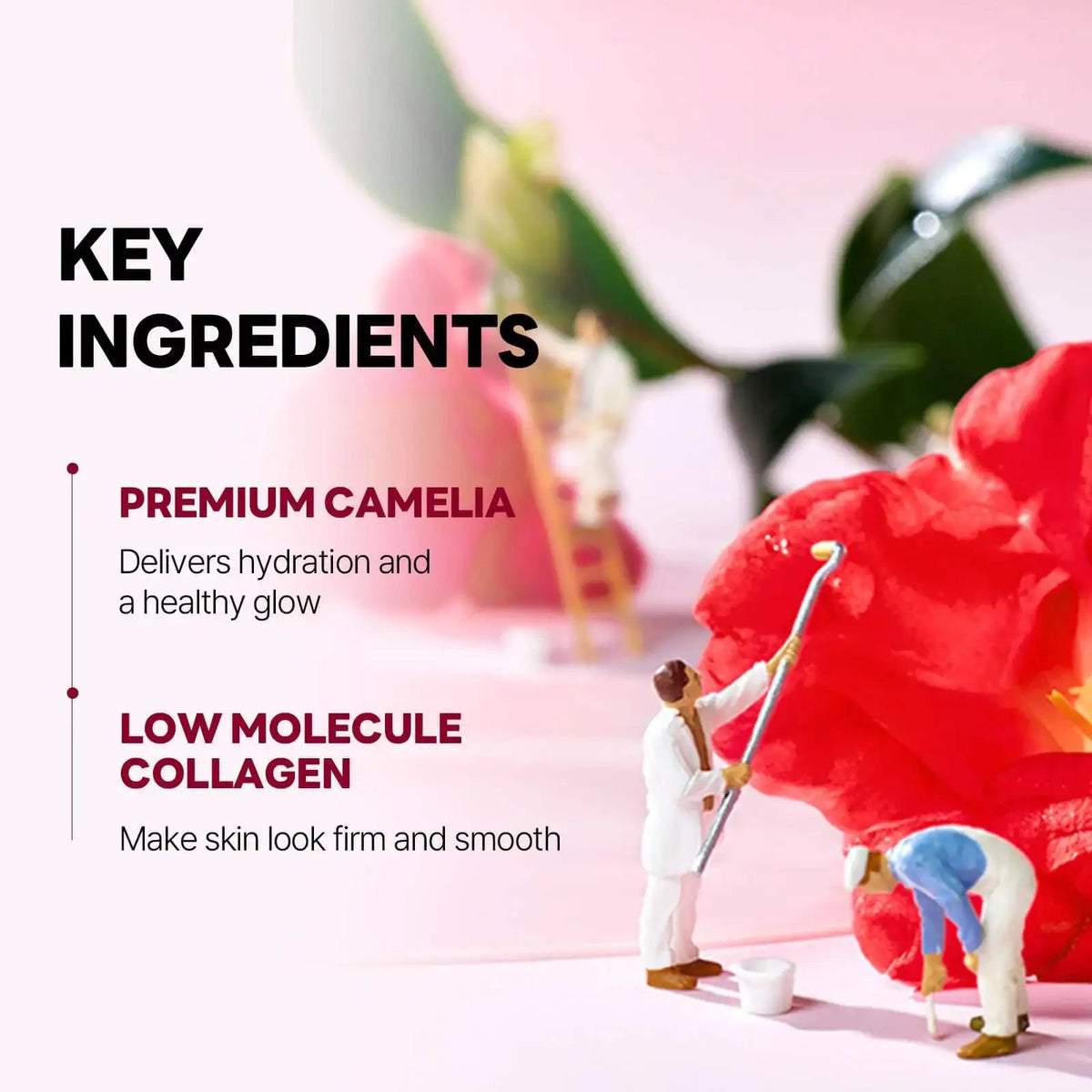 Camellia Deep Collagen Firming Gel Mask official product infographic 6
