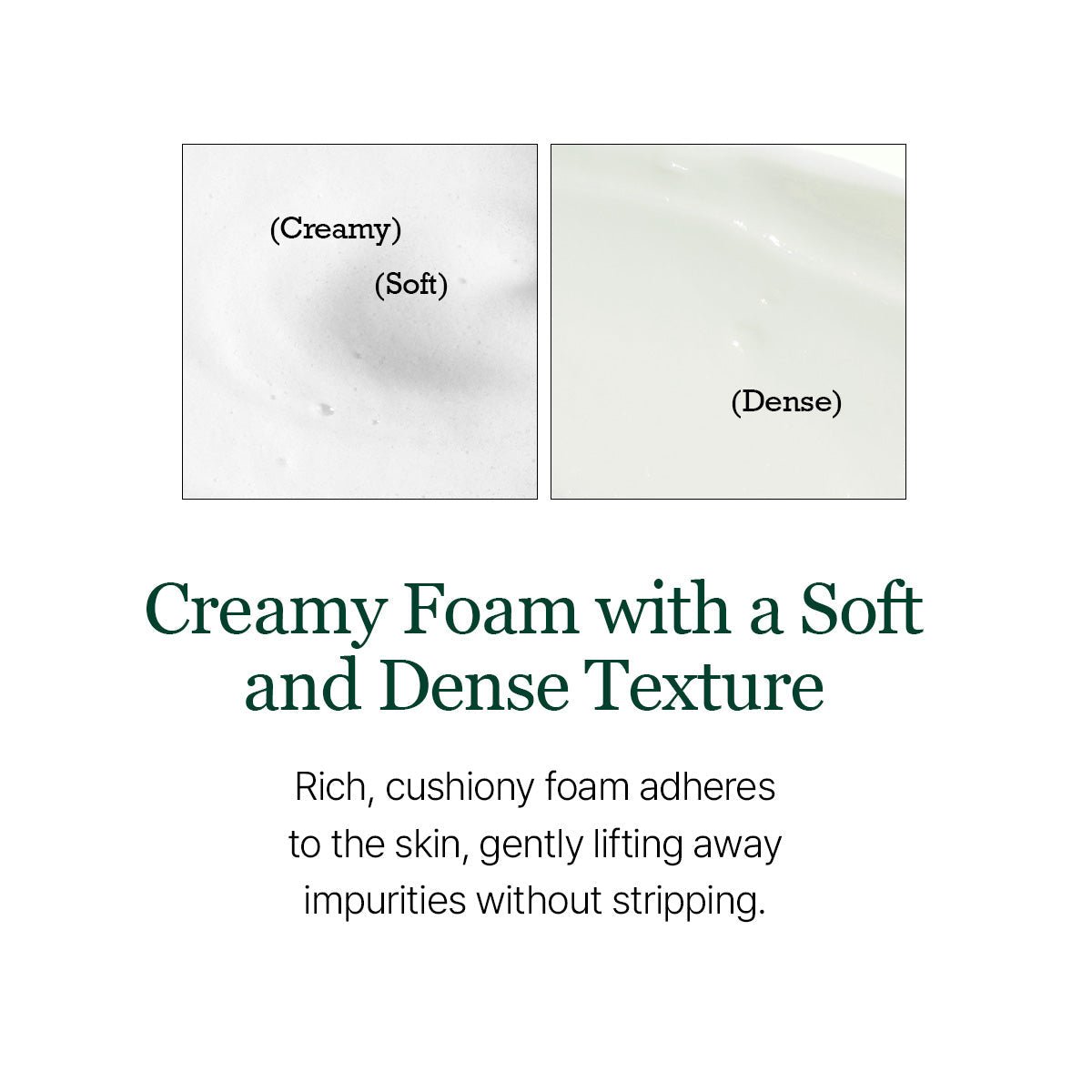 ROUND LAB pine calming cica cleanser official product gallery information 5