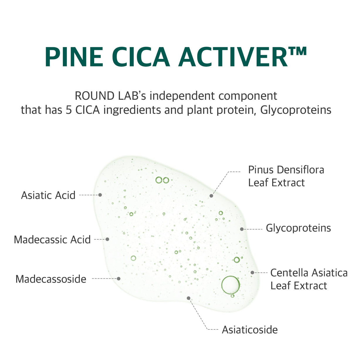 ROUND LAB pine tree cica pad official product gallery information 3