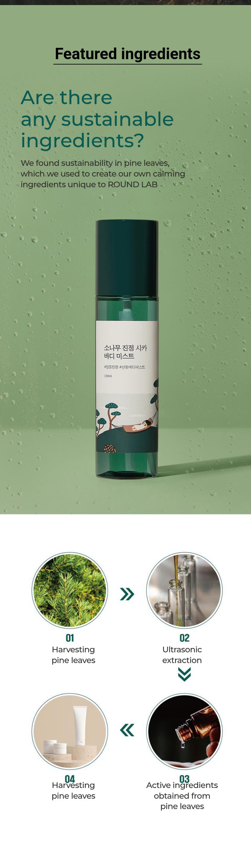 ROUND LAB Pine Calming Cica Body Mist 150ml β sustainable pine ingredients β Olive Young
