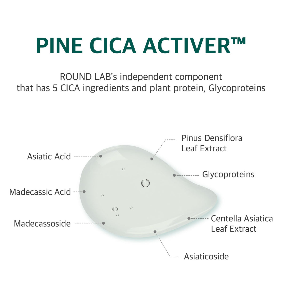 ROUND LAB Pine Calming Cica Sheet Mask official infographic: Pine Cica Activer ingredients