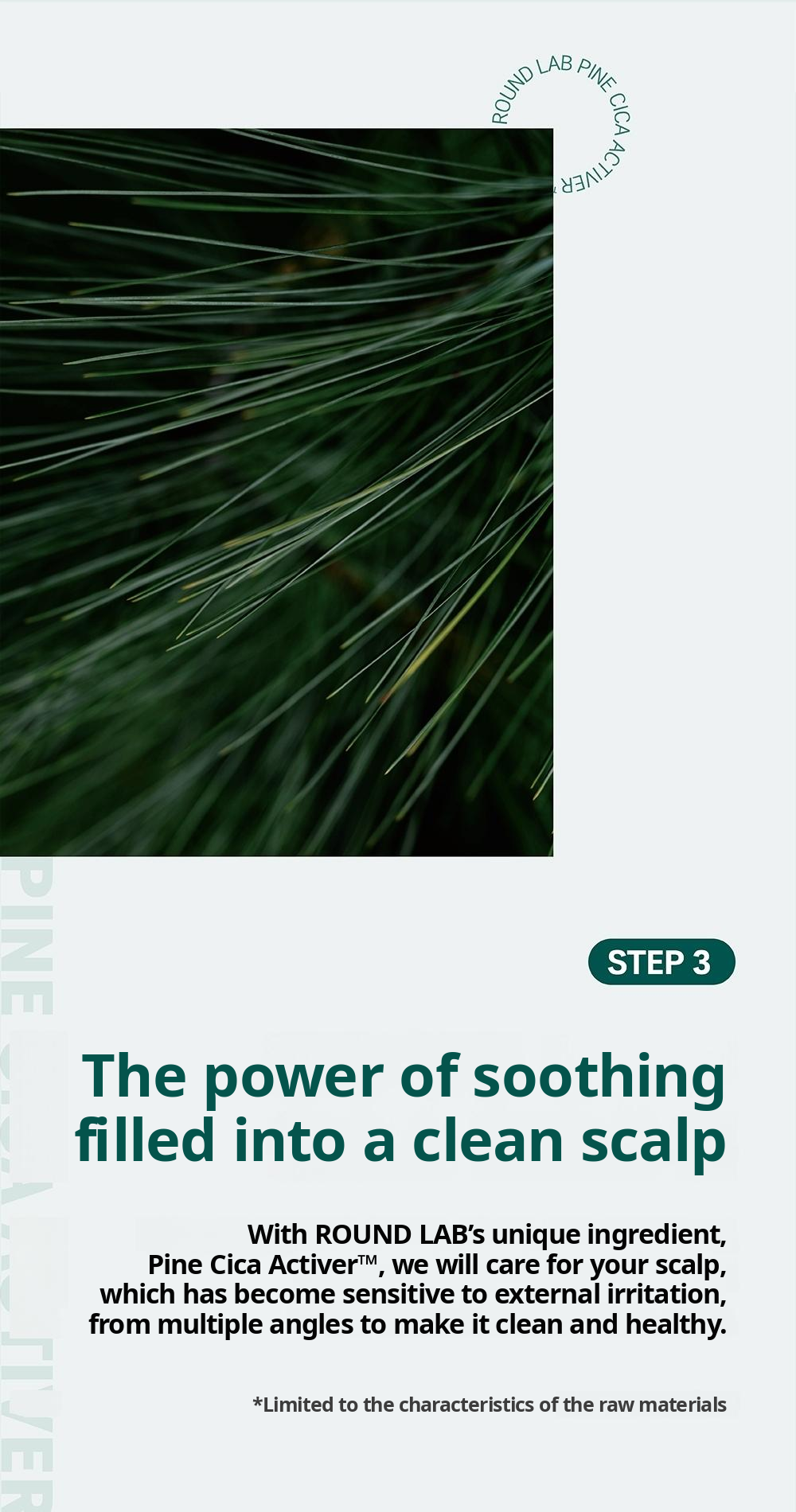 ROUND LAB Pine Calming Cica Shampoo 400ml: pine cica soothing. English product information from Olive Young.