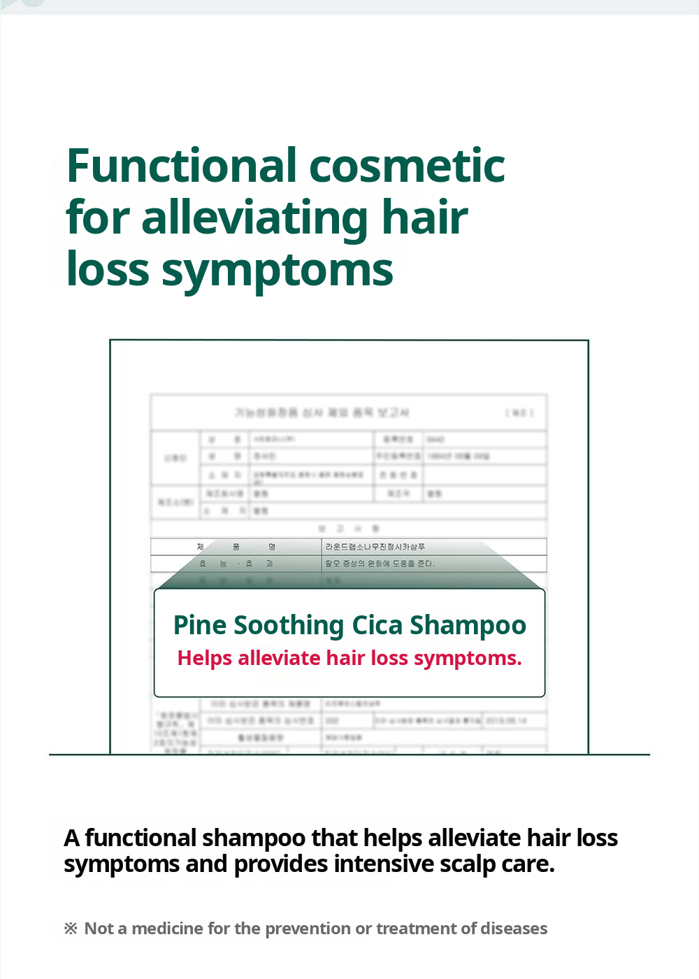 ROUND LAB Pine Calming Cica Shampoo 400ml: functional hair care. English product information from Olive Young.