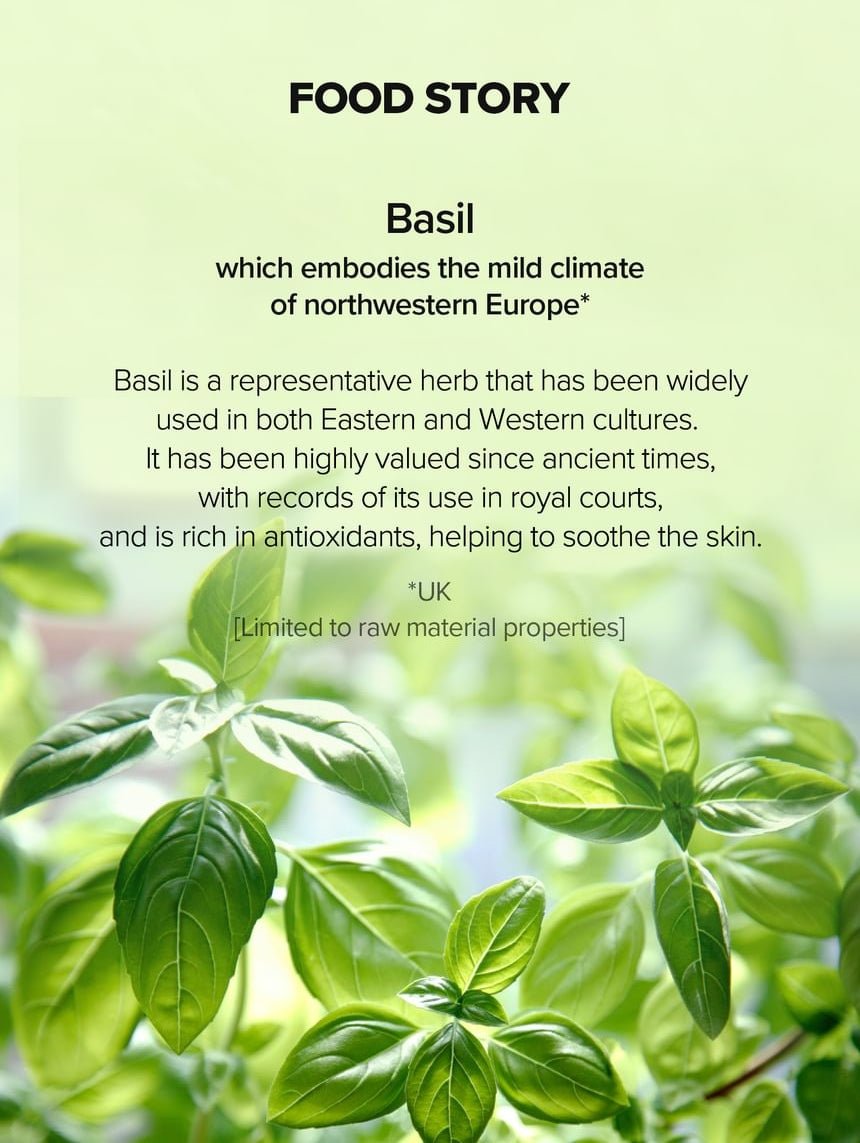 SKINFOOD Basil Teatreecinic Cooling Toner 200mL - basil food story (English)