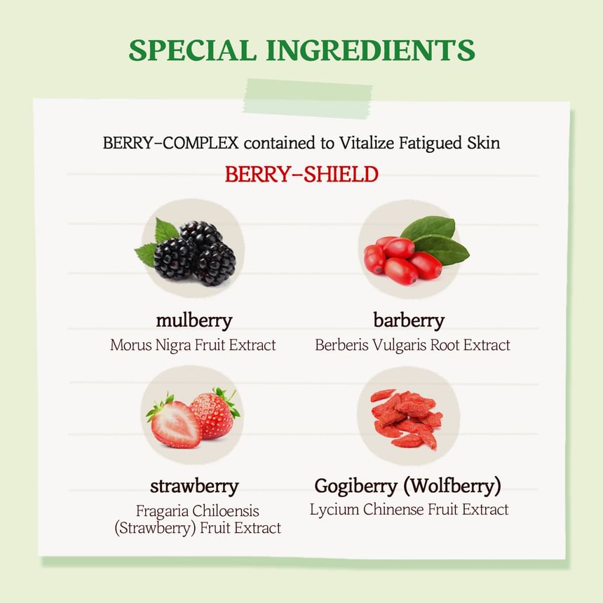 SKINFOOD Berry Soothing Sun Cream 50mL - English product information
