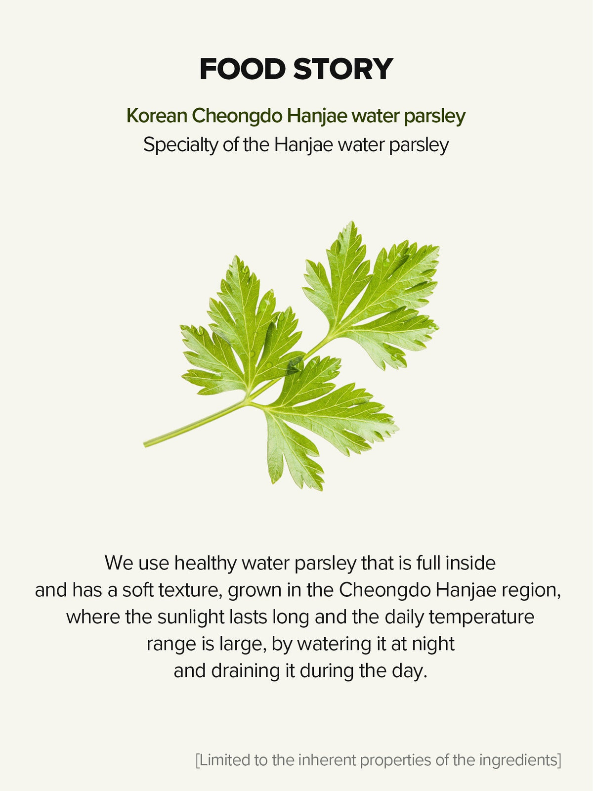 SKINFOOD Pantothenic Water Parsley Silence Essence 70mL - Water parsley ingredient story