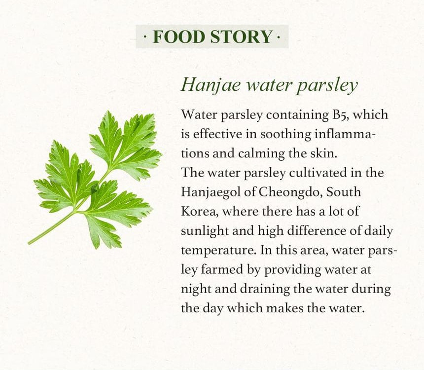 SKINFOOD Pantothenic Water Parsley Smashing Powder 15mL - food story (English source panel)