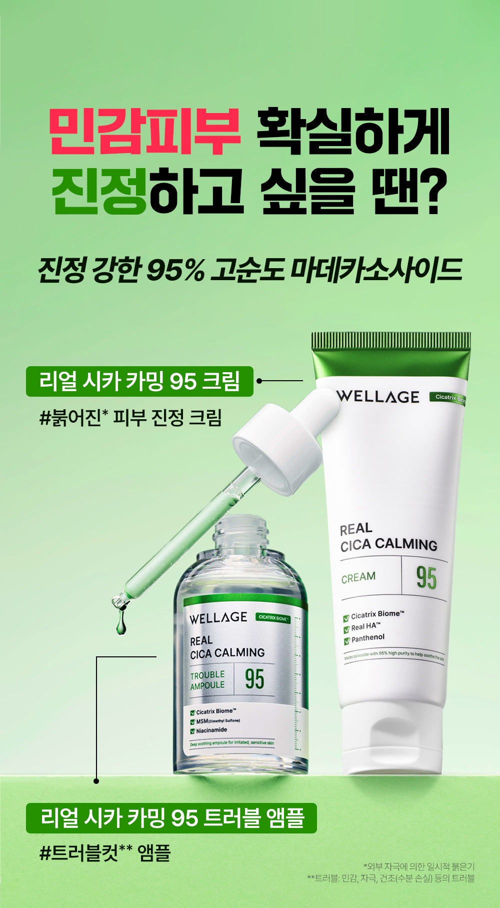 WELLAGE Real Cica Calming 95 Cream cica routine official Korean information