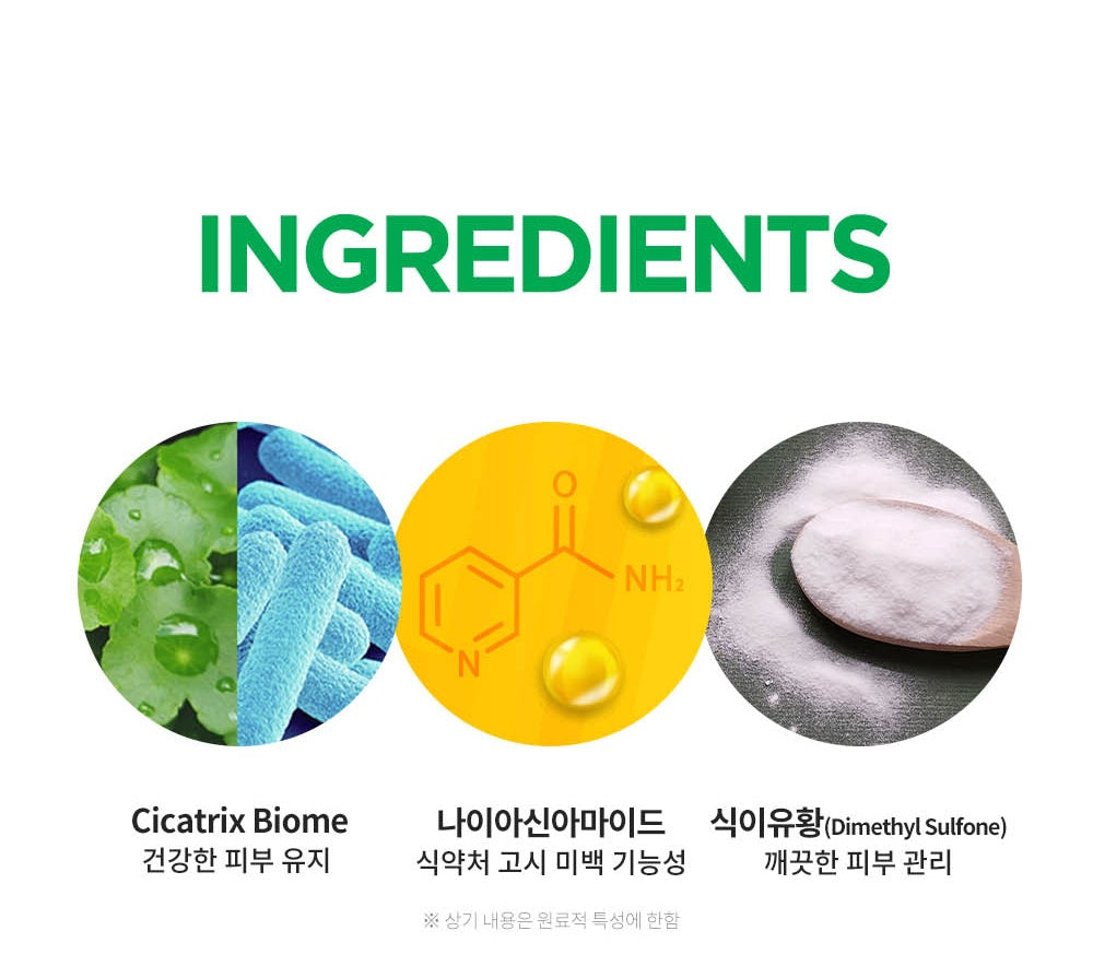 WELLAGE Cica Ampoule: Cicatrix Biome niacinamide and dimethyl sulfone ingredient explanation in Korean