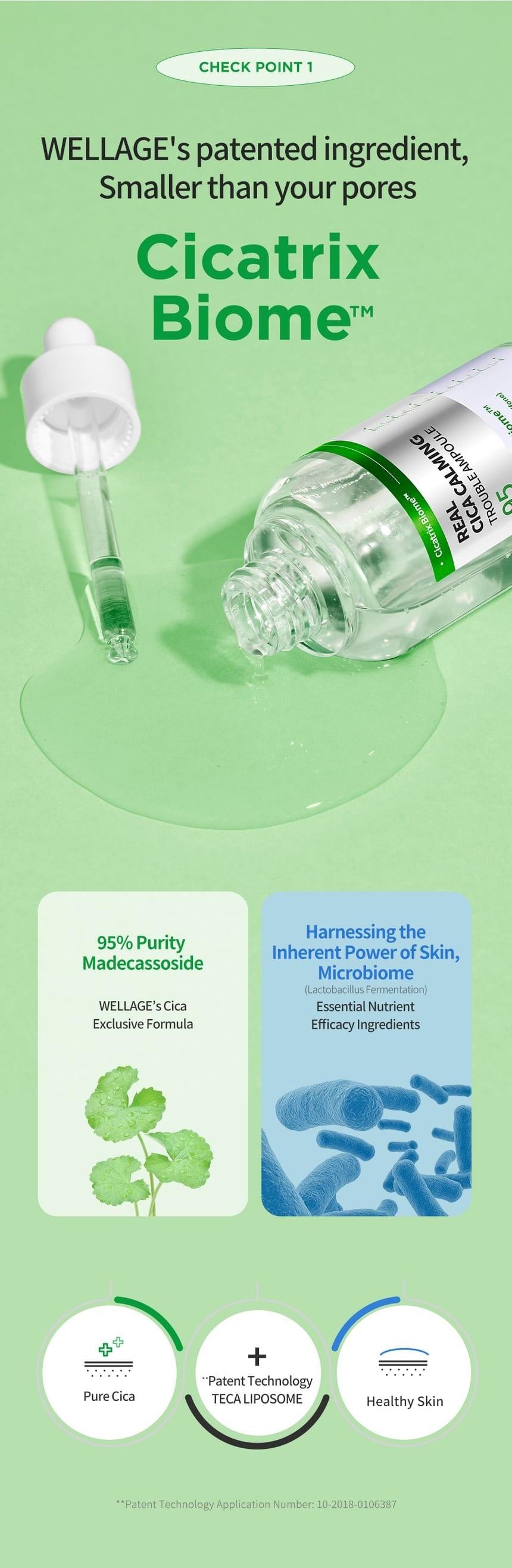 WELLAGE Real Cica Calming 95 Trouble Ampoule: Cicatrix Biome ingredient system