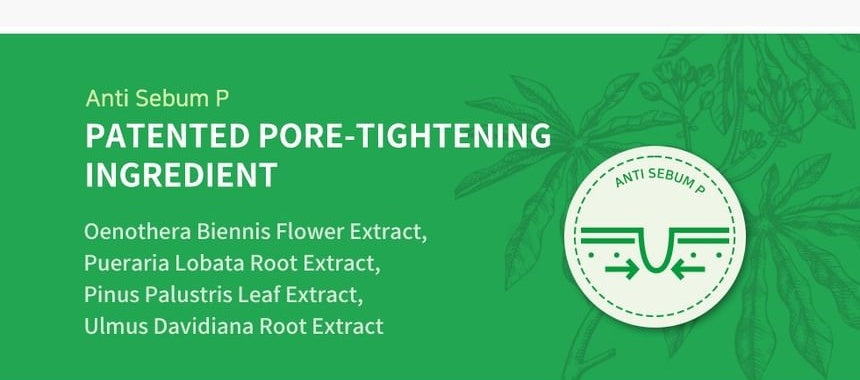 WELLAGE Real Cica Calming Big Embo Toner Pad: Anti Sebum P botanical complex