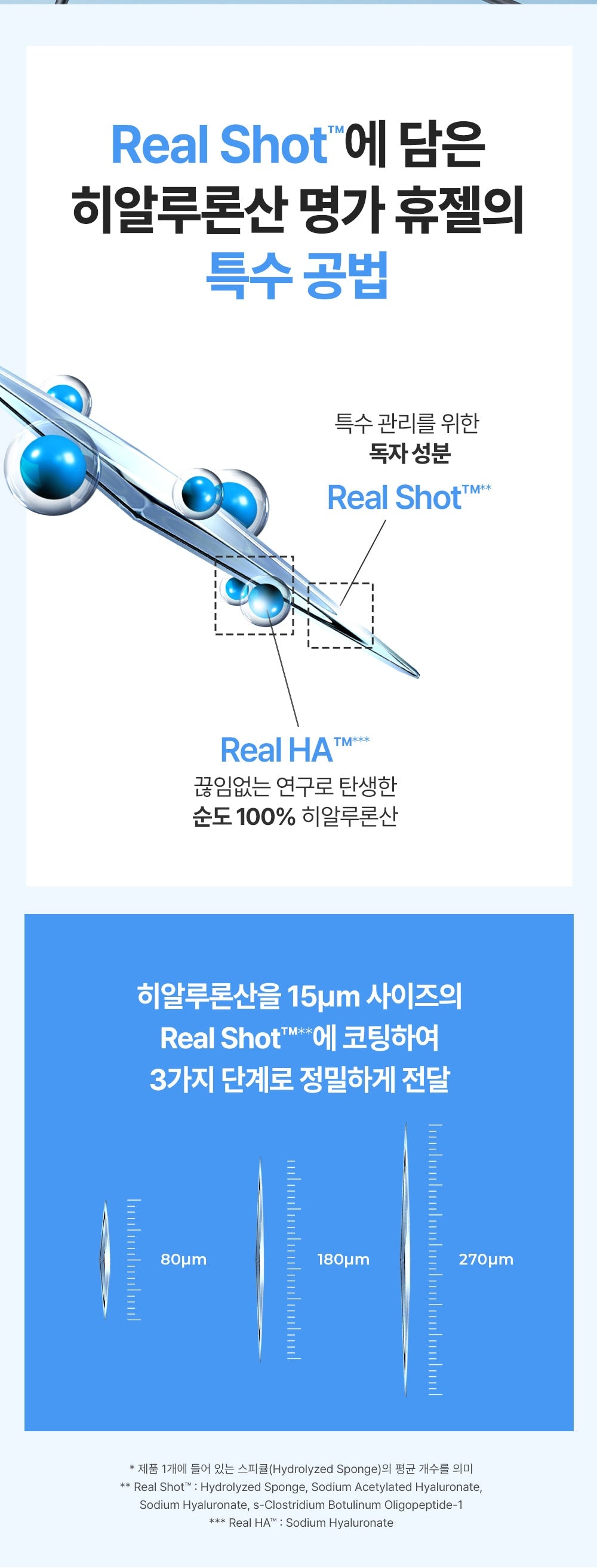 WELLAGE Lip Plumper 500: Real Shot manufacturing explanation and ingredient footnotes