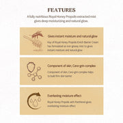 SKINFOOD Royal Honey Propolis Enrich Cream Mist 120mL