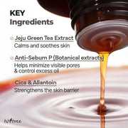 Isntree Green Tea Fresh Toner 200mL official key ingredients