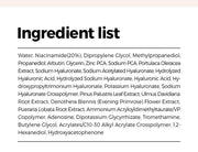 Isntree Hyper Niacinamide 20 Serum 20mL full ingredient list