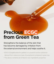 Isntree Green Tea Fresh Serum 50mL egcg skin conditioning explanation