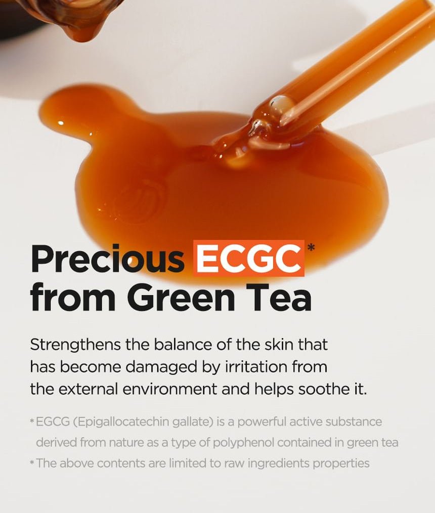 Isntree Green Tea Fresh Serum 50mL egcg skin conditioning explanation