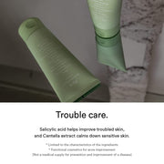 Abib Heartleaf Acne Foam Cleanser – Salicylic acid and centella trouble-care source panel