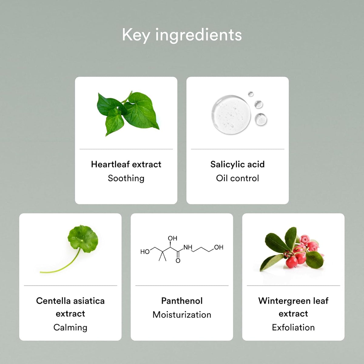 Abib Heartleaf Acne Foam Cleanser – Heartleaf, salicylic acid, centella, panthenol and wintergreen ingredients