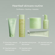 Abib Heartleaf Acne Foam Cleanser – Heartleaf skincare routine product comparison