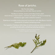 Abib Jericho Rose Bifida Serum Firming Drop 50mL English product information
