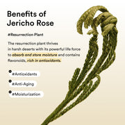 Abib Collagen Eye Patch English product information jericho-rose-jelly 4