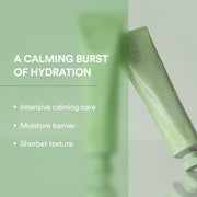 Abib Heartleaf Crème Calming Tube 75mL English gallery product information 1