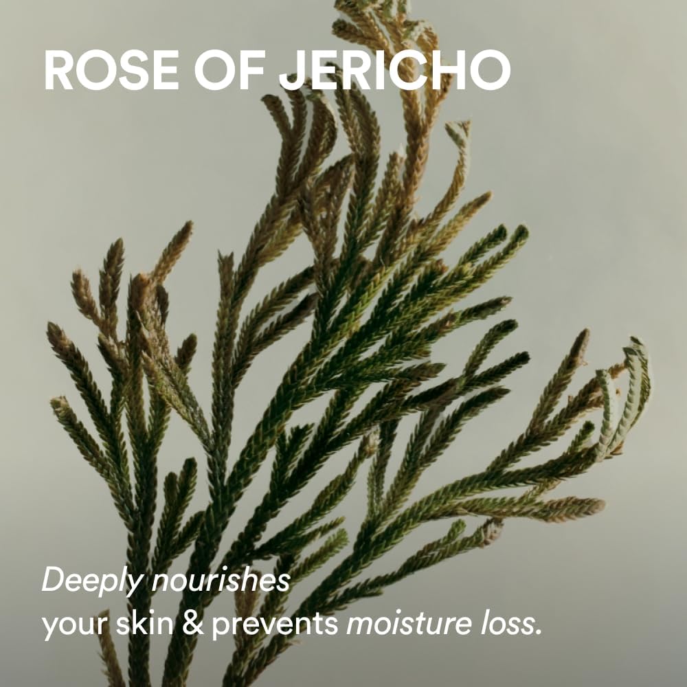 Abib Jericho Rose PHA Toner English product information