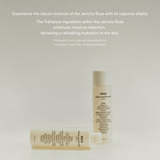 Abib Jericho Rose PHA Toner English product information