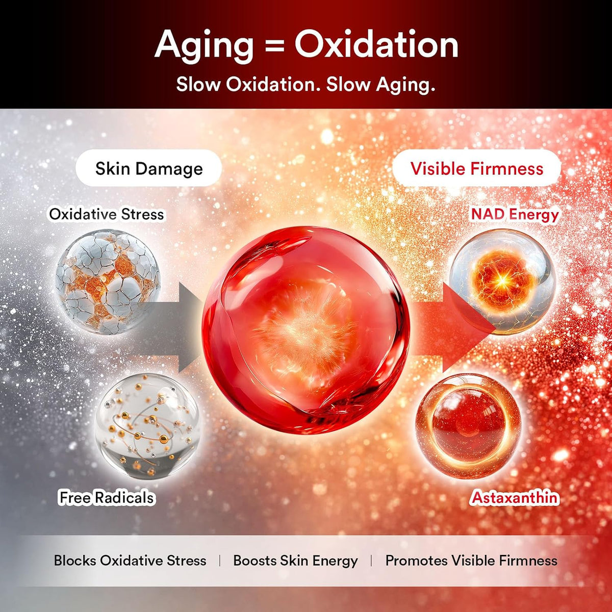 Abib Red Effect Serum English Amazon gallery product information 03